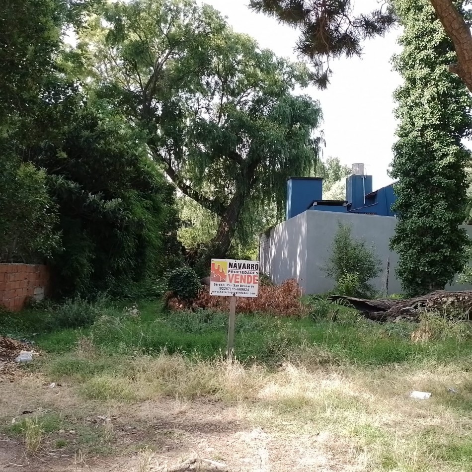 Venta Lote 10 X 40 En San Bernardo